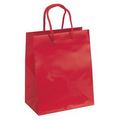 Gloss Laminated Paper Gift Bag